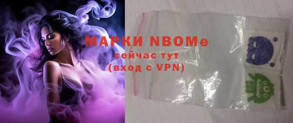 шишки Апатиты