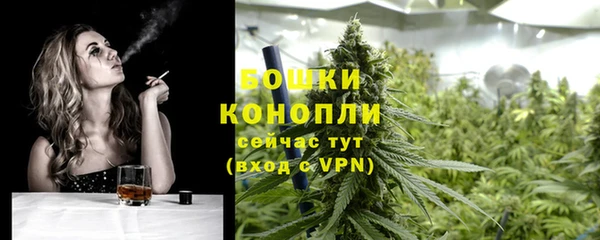 mdpv Новодвинск