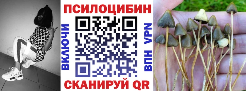 где продают наркотики Ухта Псилоцибиновые грибы мицелий